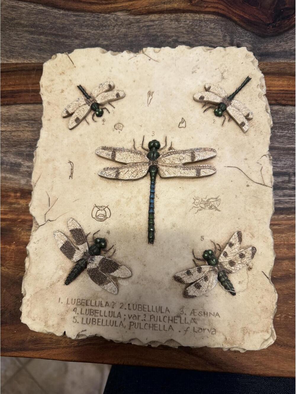 Dragonfly handpainted stone plaque